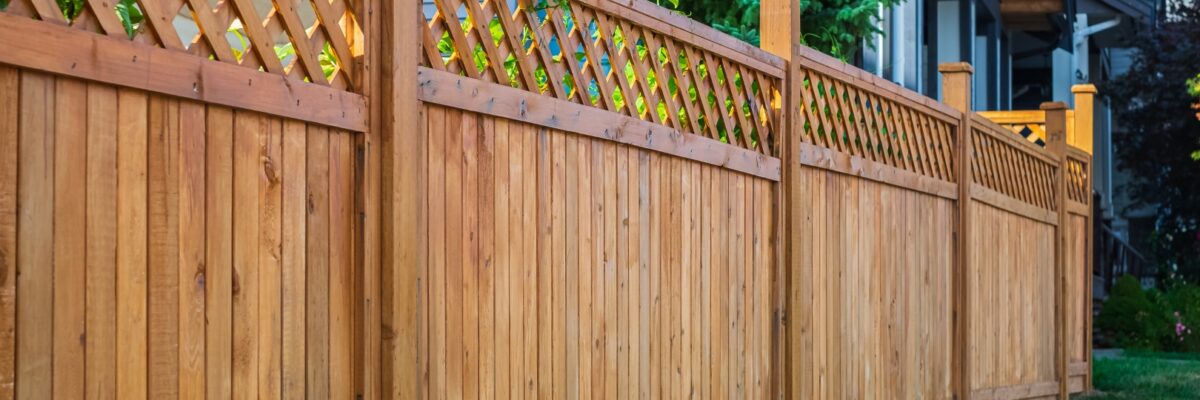 Fences (2) Fences (2)
